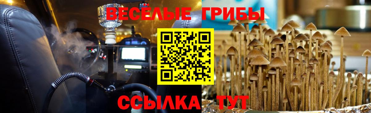 Псилоцибиновые грибы мухоморы Киселёвск