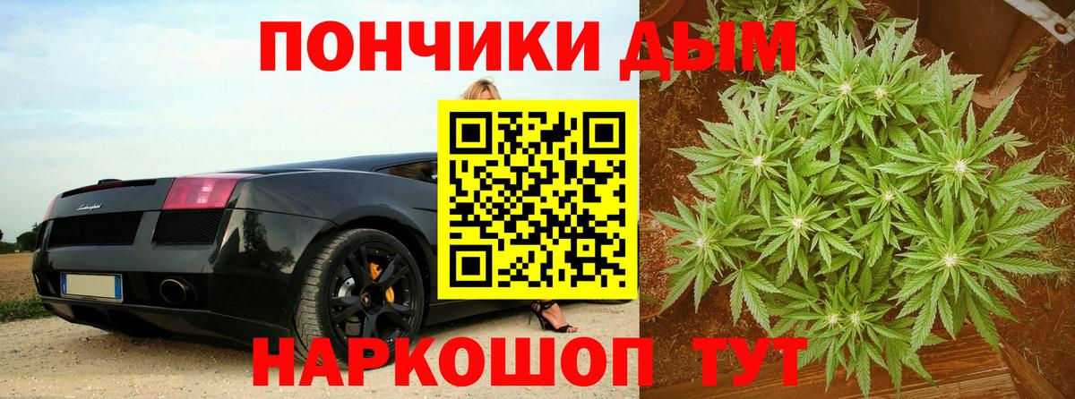 Бошки марихуана марихуана  Вход с VPN  Канабис Bruce Banner  Шишки марихуана Ganja  Киселёвск 